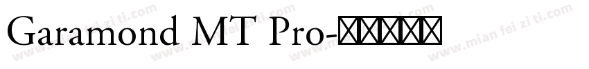 Garamond MT Pro字体转换